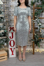 Load image into Gallery viewer, Dazzle in Sequins Petite Dress (Silver)