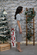 Load image into Gallery viewer, Dazzle in Sequins Petite Dress (Silver)